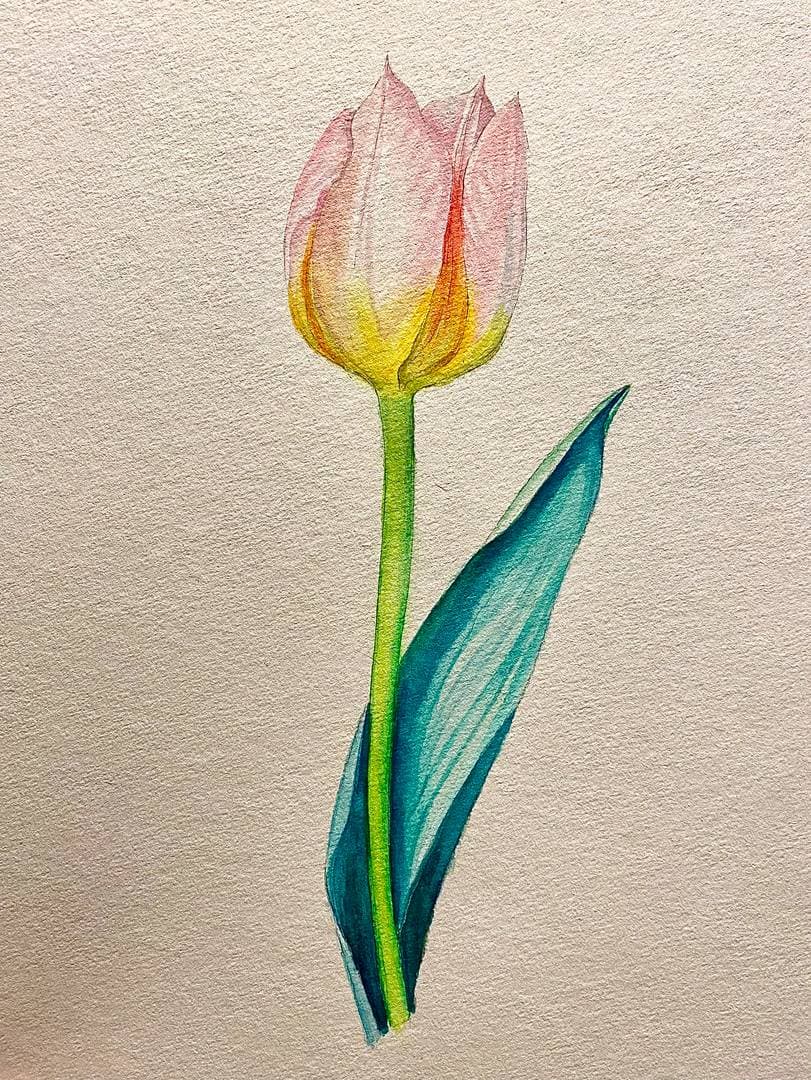 Aquarel bloem