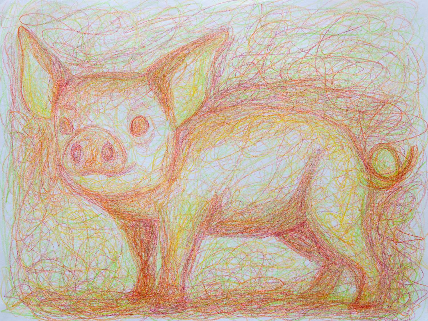 Dynamisch lijn tekening varken