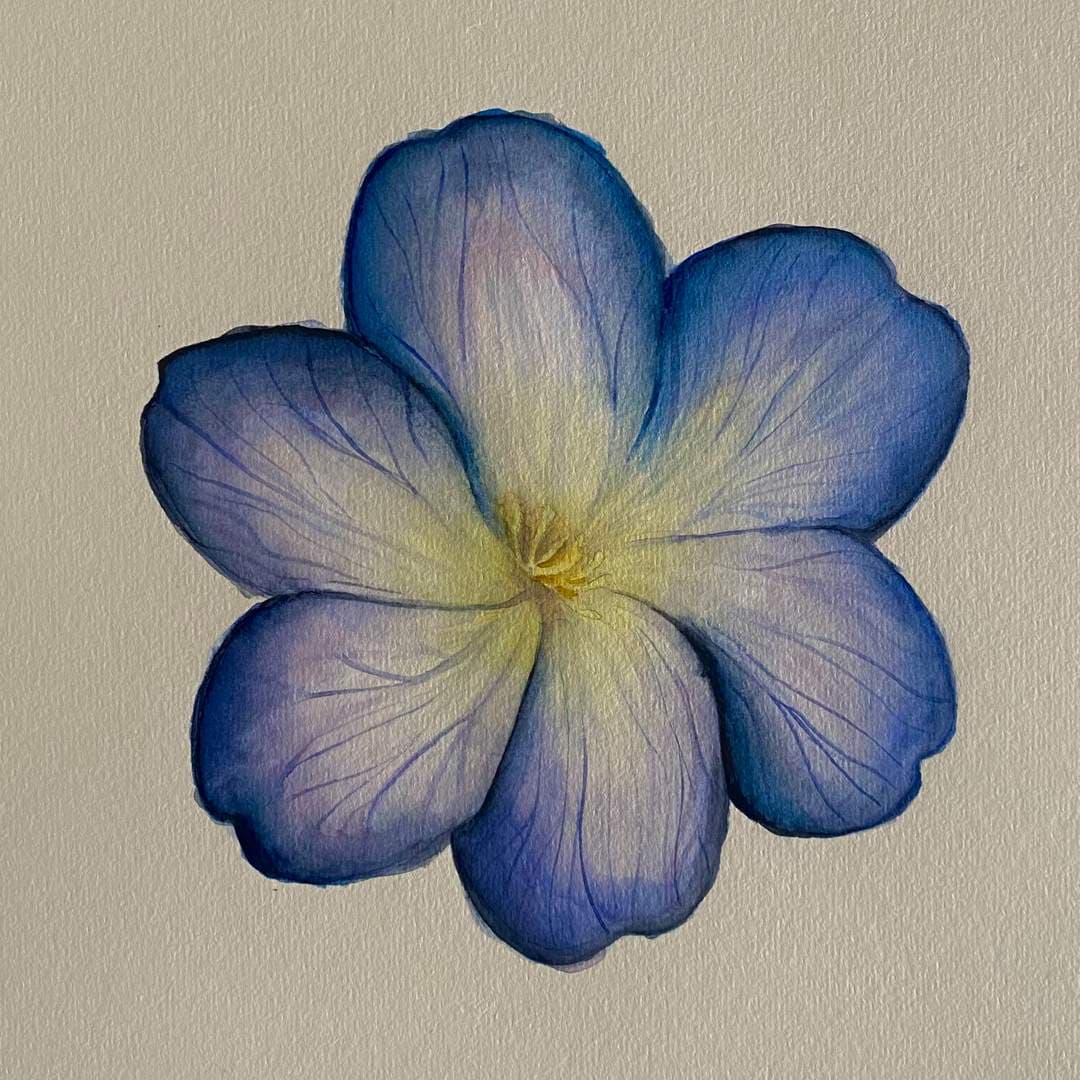 Flower blue