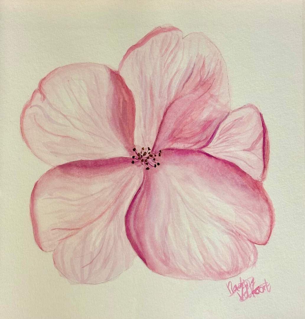 Flower pink