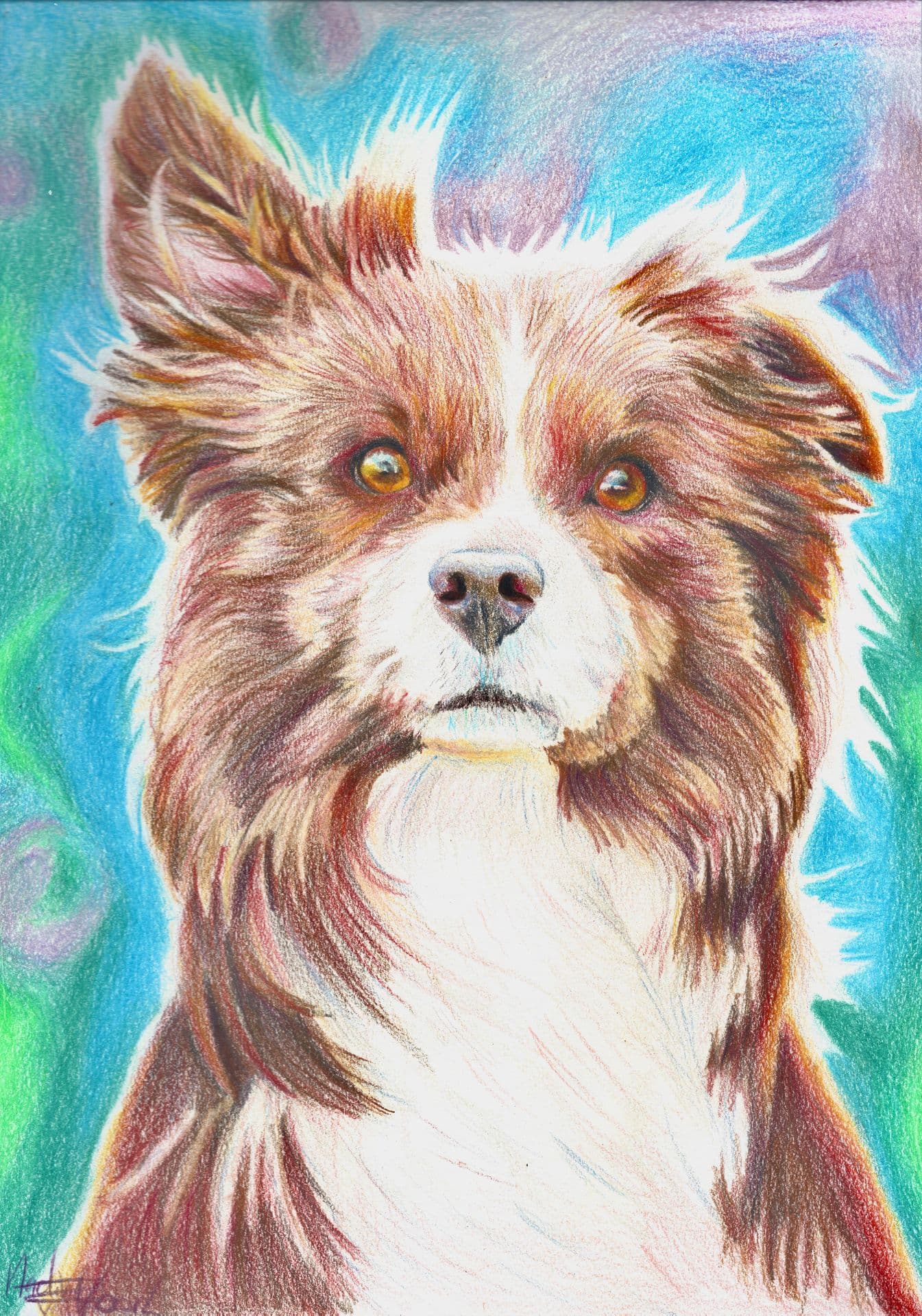 Kleur tekening van Luna de Bordercolly