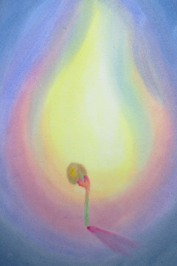 Planten reeks kiempje