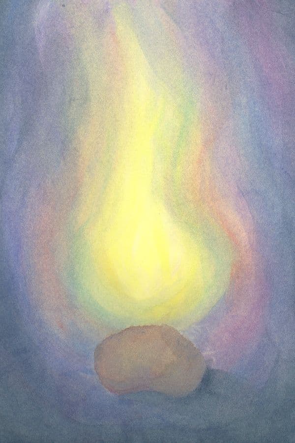 Planten reeks zaadje