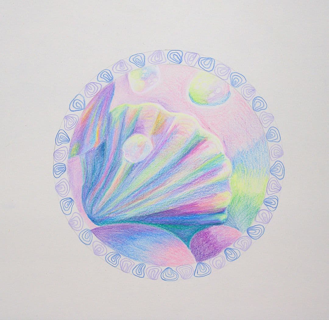 Schelp mandala