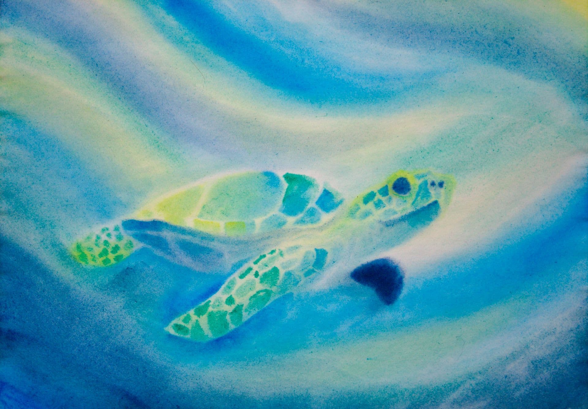 Sea turtle