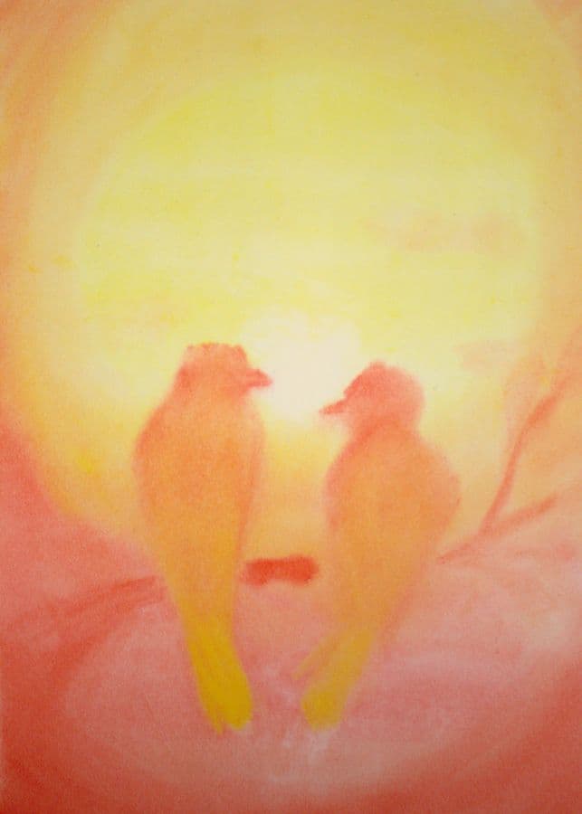 Vogels kleurontmoeting