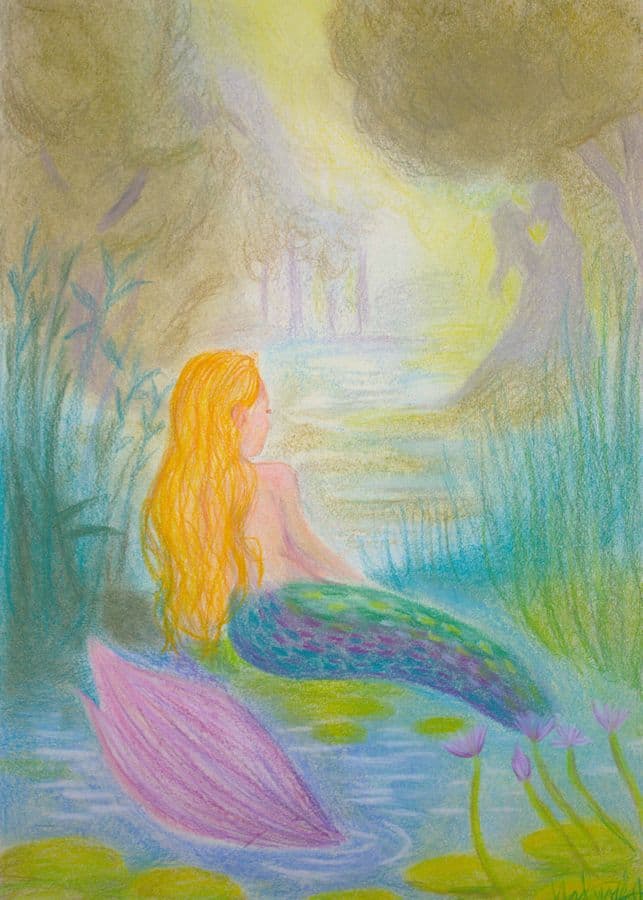 Waterlelie zeemeermin